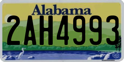 AL license plate 2AH4993