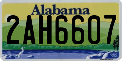 AL license plate 2AH6607