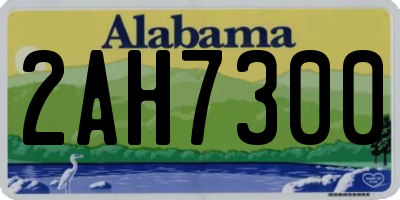 AL license plate 2AH7300