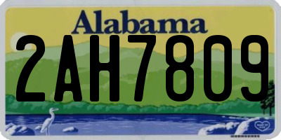 AL license plate 2AH7809