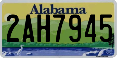 AL license plate 2AH7945