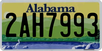 AL license plate 2AH7993
