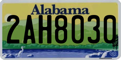 AL license plate 2AH8030