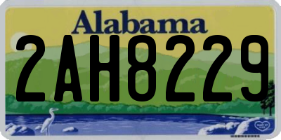 AL license plate 2AH8229