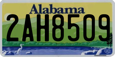 AL license plate 2AH8509