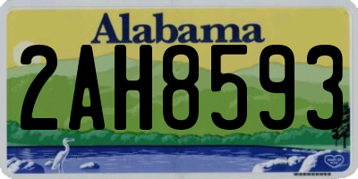 AL license plate 2AH8593