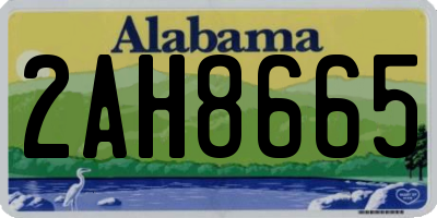 AL license plate 2AH8665