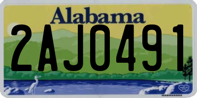 AL license plate 2AJ0491