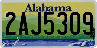 AL license plate 2AJ5309