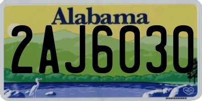 AL license plate 2AJ6030