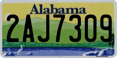 AL license plate 2AJ7309