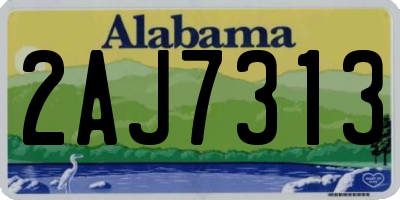 AL license plate 2AJ7313