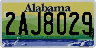 AL license plate 2AJ8029