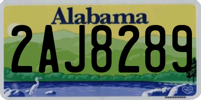 AL license plate 2AJ8289