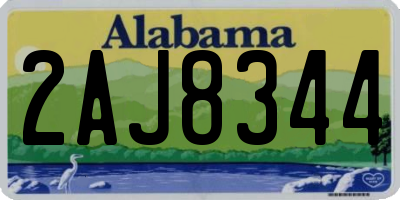 AL license plate 2AJ8344