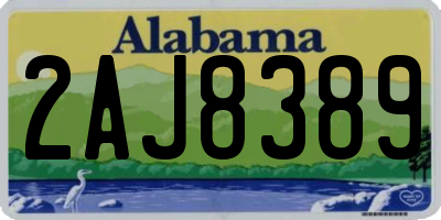 AL license plate 2AJ8389