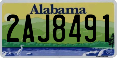 AL license plate 2AJ8491