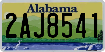AL license plate 2AJ8541