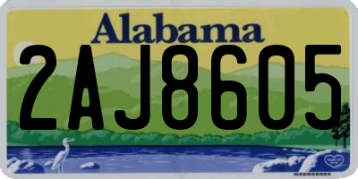 AL license plate 2AJ8605