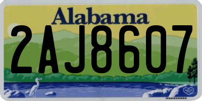 AL license plate 2AJ8607