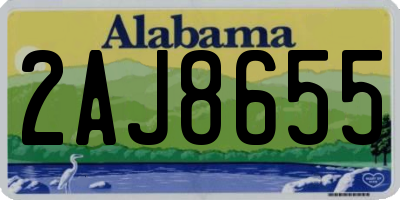 AL license plate 2AJ8655