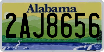 AL license plate 2AJ8656
