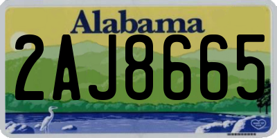 AL license plate 2AJ8665