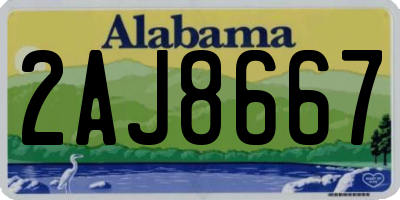 AL license plate 2AJ8667