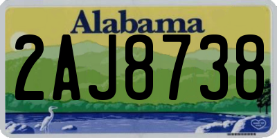 AL license plate 2AJ8738