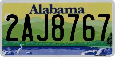 AL license plate 2AJ8767