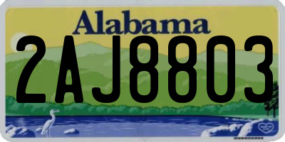 AL license plate 2AJ8803