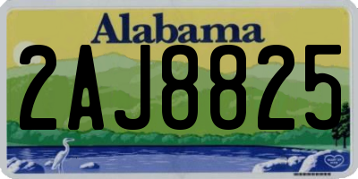 AL license plate 2AJ8825