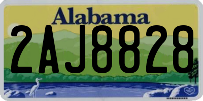 AL license plate 2AJ8828