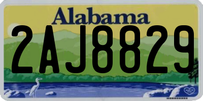 AL license plate 2AJ8829