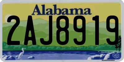 AL license plate 2AJ8919