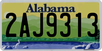AL license plate 2AJ9313