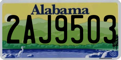 AL license plate 2AJ9503
