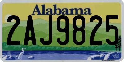 AL license plate 2AJ9825