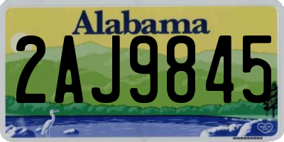 AL license plate 2AJ9845