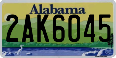 AL license plate 2AK6045