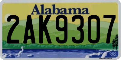 AL license plate 2AK9307