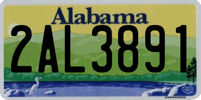 AL license plate 2AL3891
