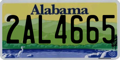 AL license plate 2AL4665