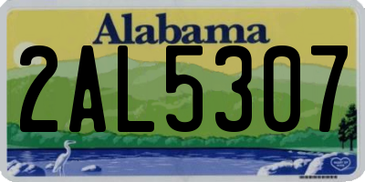 AL license plate 2AL5307