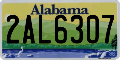 AL license plate 2AL6307