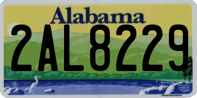 AL license plate 2AL8229