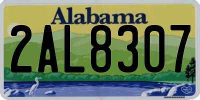 AL license plate 2AL8307