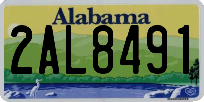 AL license plate 2AL8491