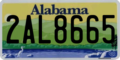 AL license plate 2AL8665
