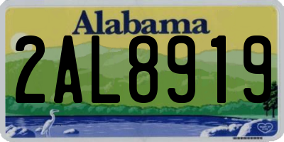 AL license plate 2AL8919